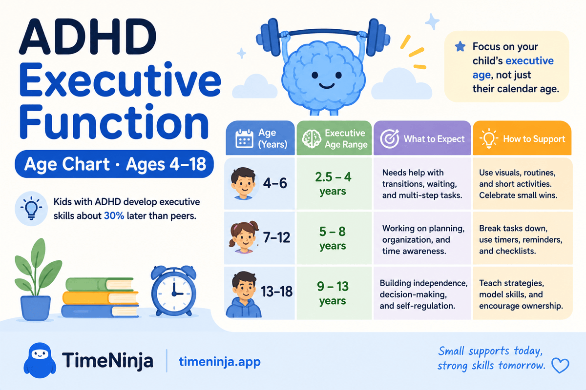 Chart of ADHD executive-function development from ages 4 to 18, showing typical executive age ranges, what to expect, and how to support each stage